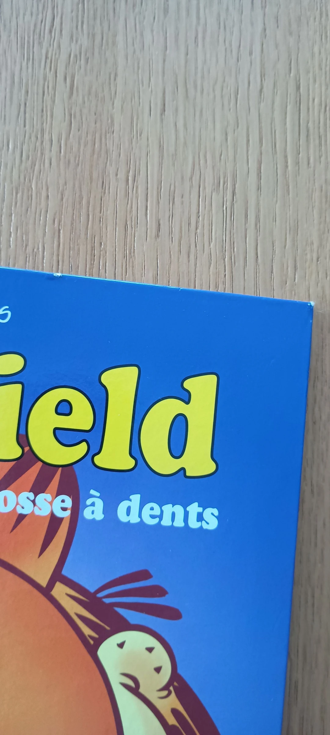 💥 BD Garfield don't forget your toothbrush – photo 3
